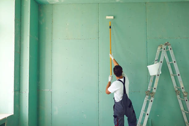 Professional Mold Removal in Lavaca, AR