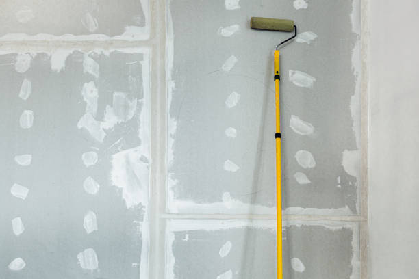 Best Water Damage & Mold Remediation  in Lavaca, AR